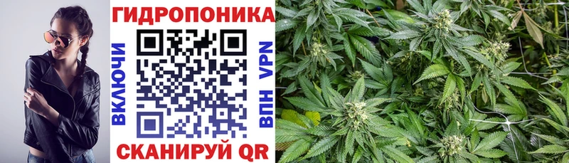 Купить  Кострома  Марихуана OG Kush 